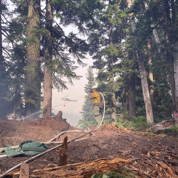 Meet your Posher, Cole - Picture 1 of 1